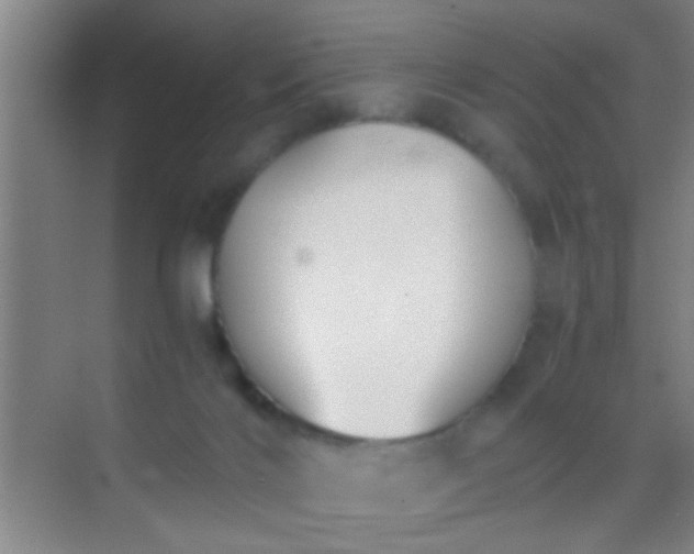 X0000069830028200605261852