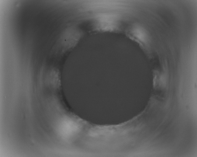 X0000069830029200605261852