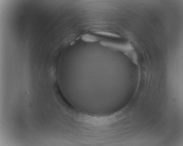 X0000069830031200605261852