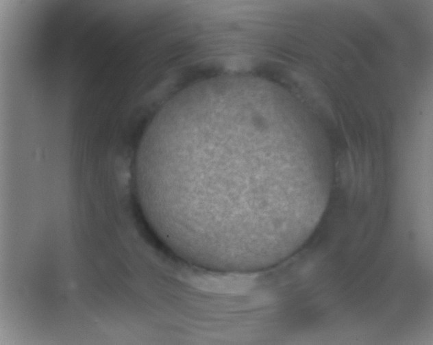 X0000069830032200605261852