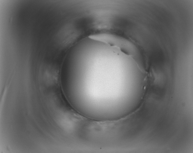 X0000069830033200605261852