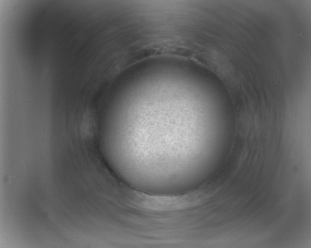 X0000069830034200605261852