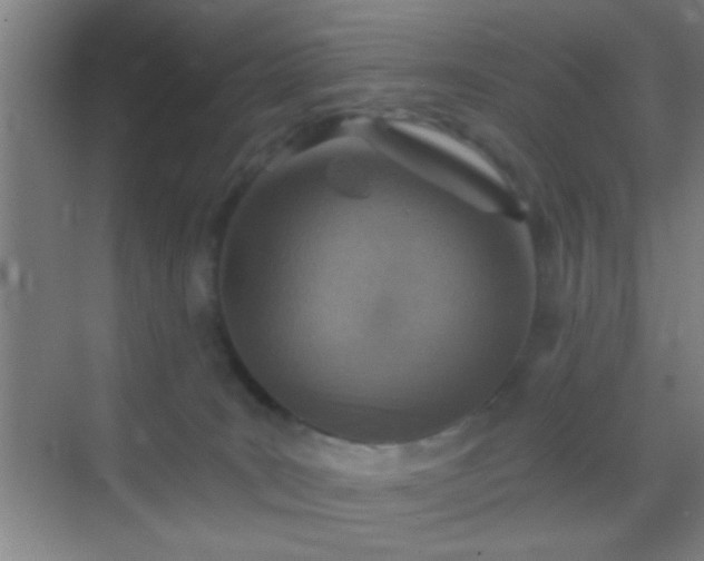 X0000069830035200605261852