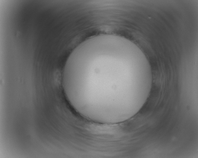 X0000069830036200605261852