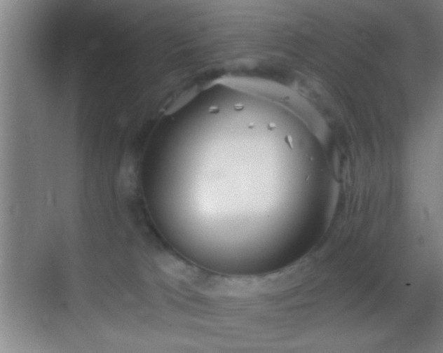 X0000069830037200605261852