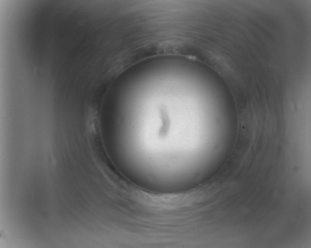 X0000069830038200605261852