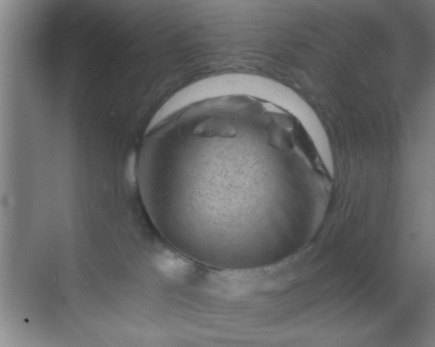 X0000069830041200605261852