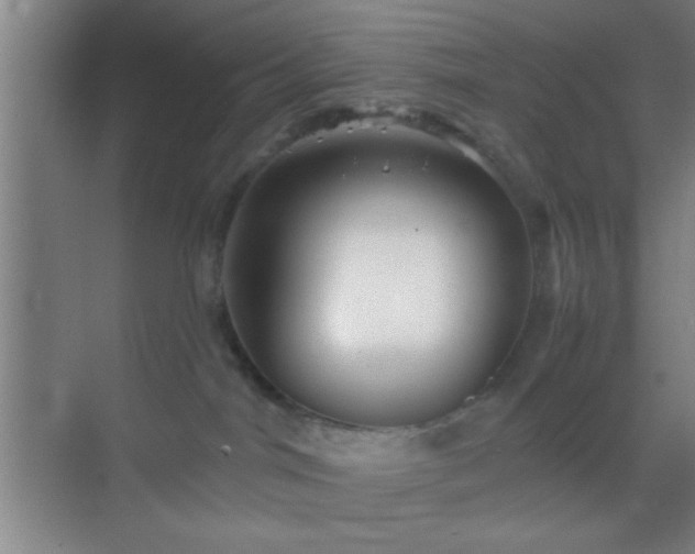 X0000069830044200605261852