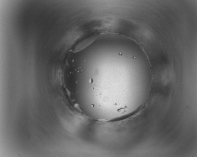 X0000069830045200605261852