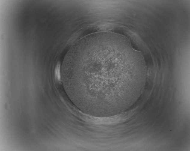 X0000069830046200605261852