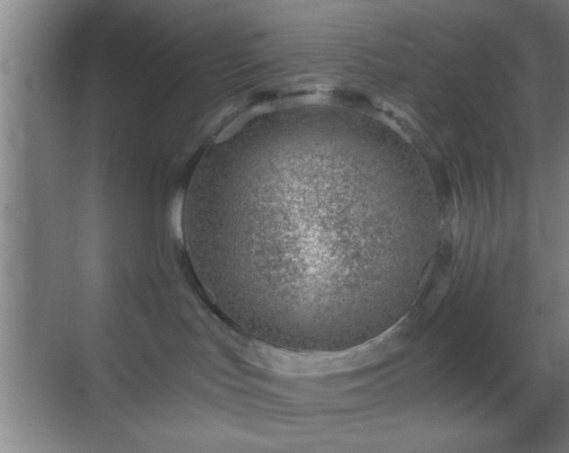 X0000069830047200605261852