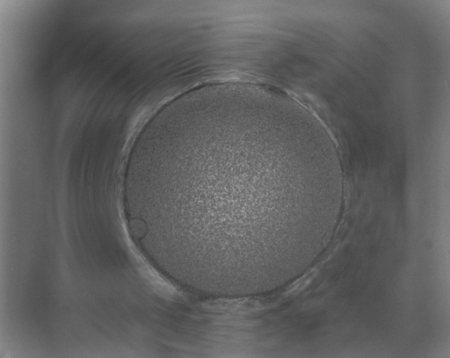 X0000069830049200605261851