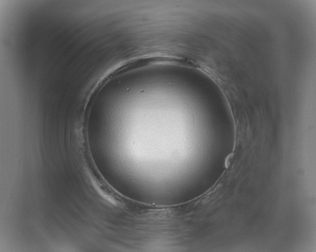 X0000069830050200605261851