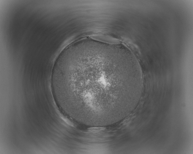 X0000069830051200605261851