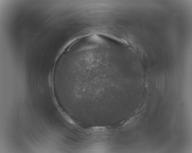 X0000069830052200605261851