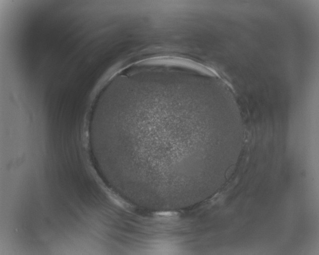 X0000069830053200605261851