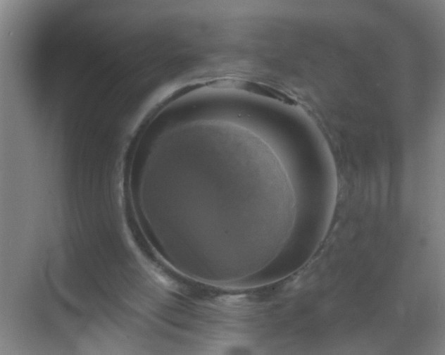 X0000069830054200605261851