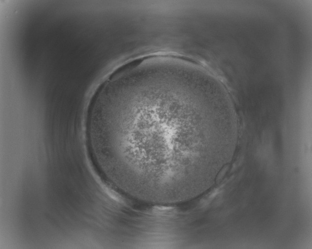 X0000069830055200605261851