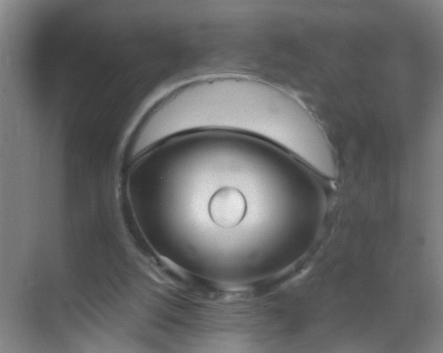 X0000069830056200605261851