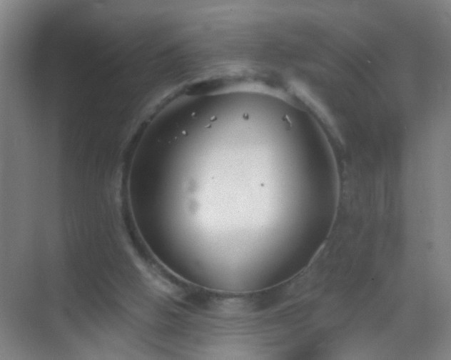 X0000069830058200605261851