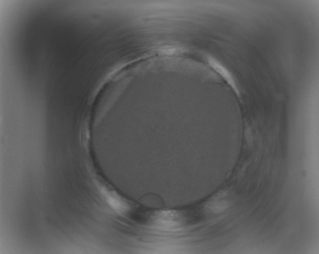 X0000069830059200605261851