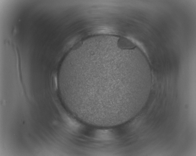 X0000069830061200605261851