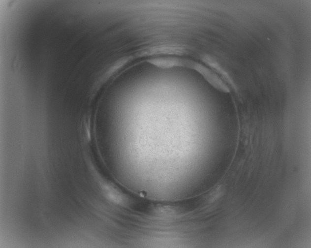 X0000069830062200605261851