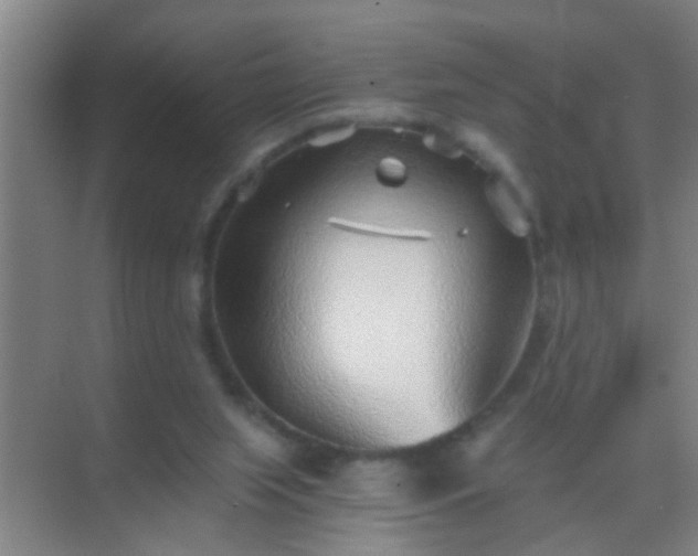 X0000069830063200605261851