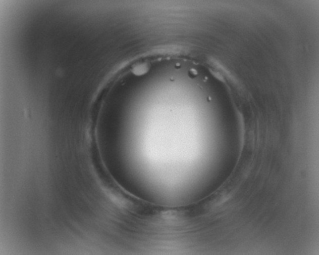 X0000069830064200605261851