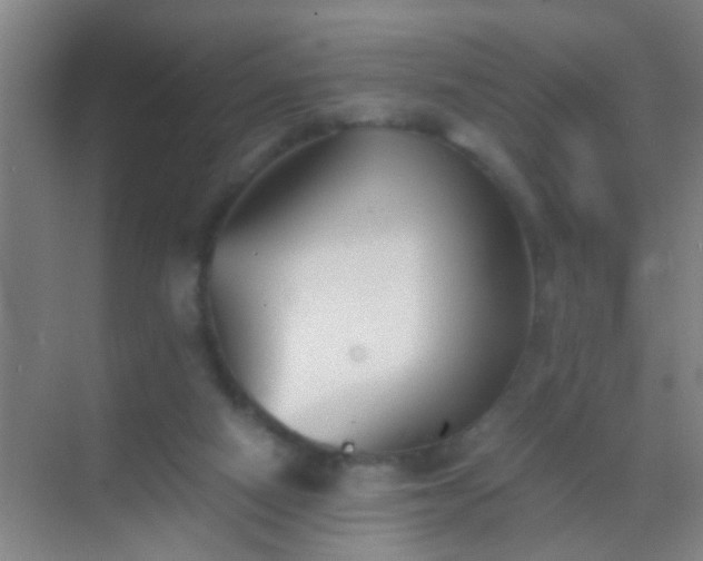 X0000069830066200605261852