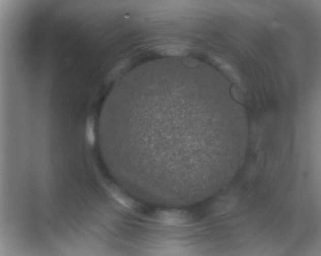 X0000069830069200605261852