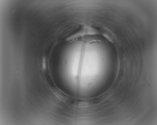 X0000069830075200605261852