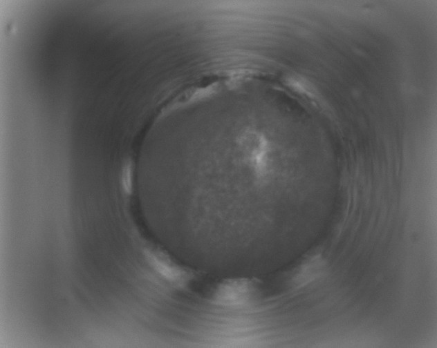 X0000069830076200605261852