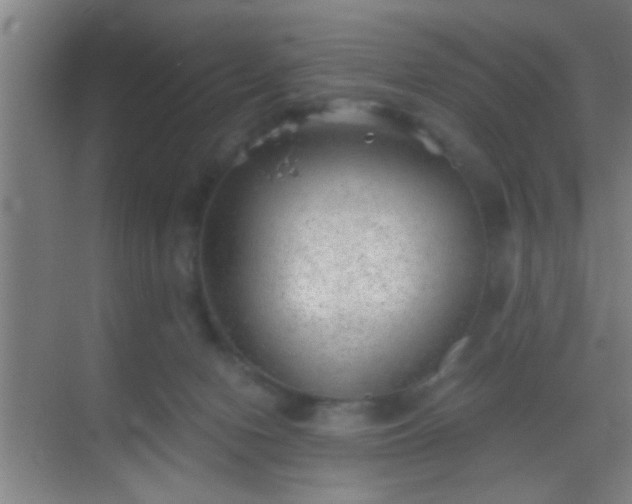 X0000069830078200605261852