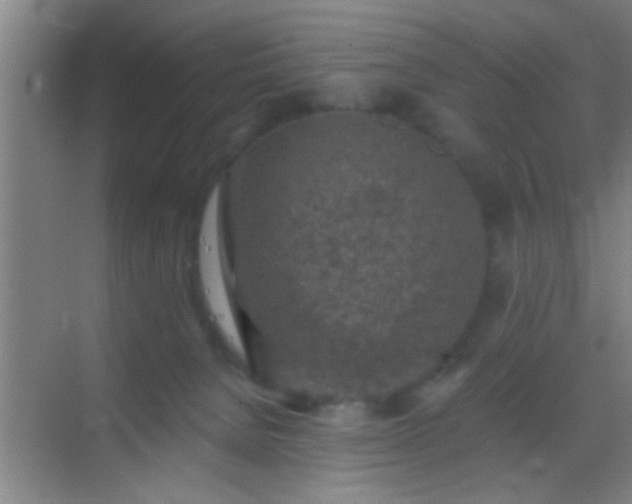 X0000069830080200605261852