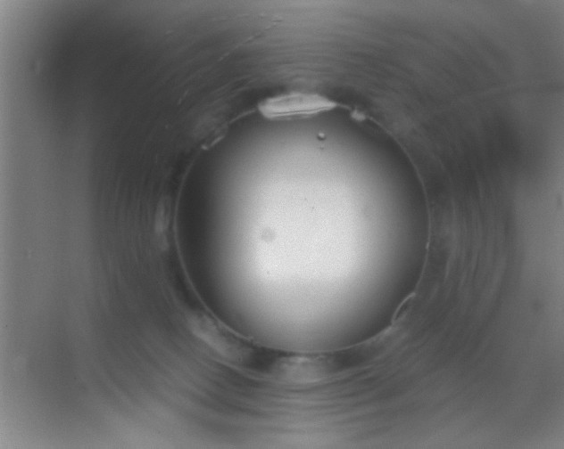 X0000069830082200605261852