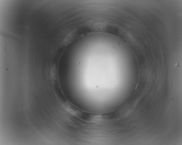 X0000069830083200605261852