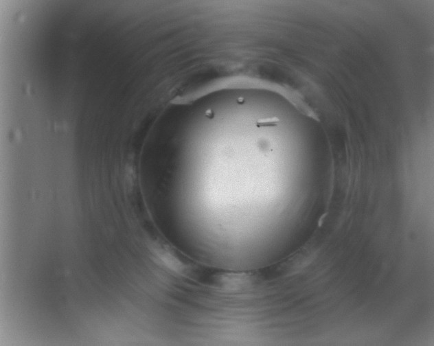 X0000069830085200605261852