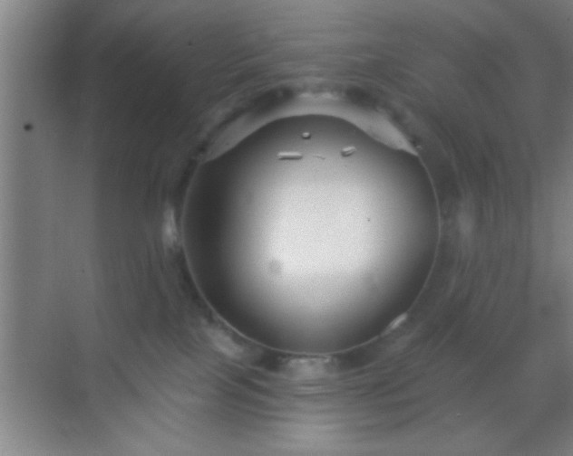 X0000069830089200605261852