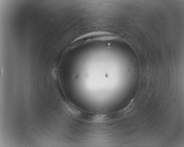 X0000069830090200605261852