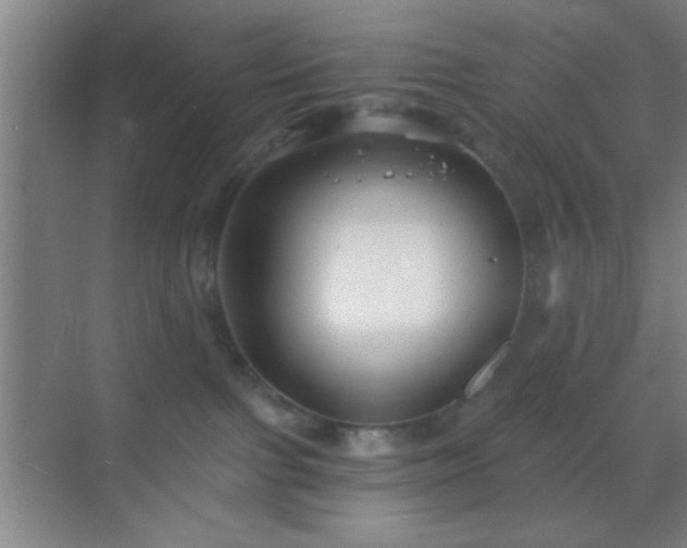 X0000069830091200605261852