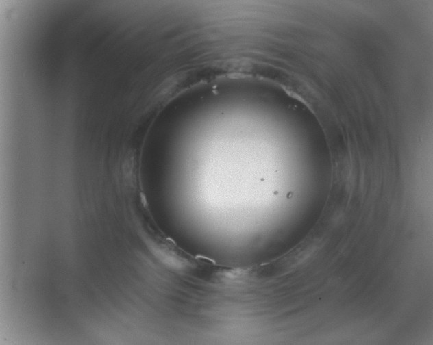 X0000069830092200605261852