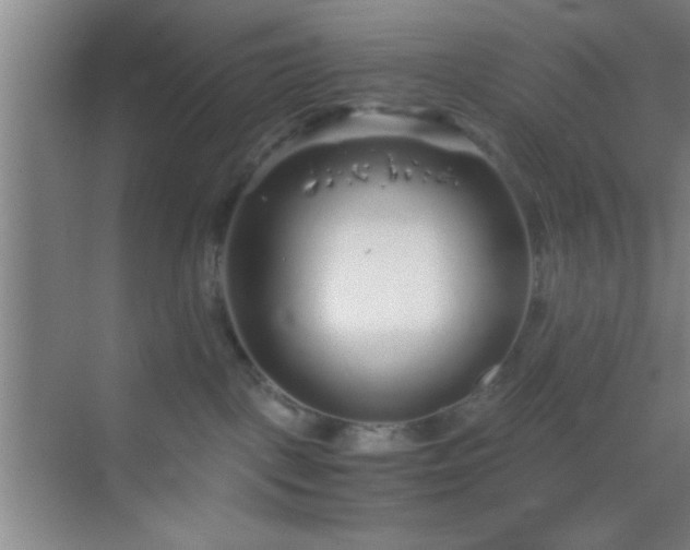 X0000069830093200605261852