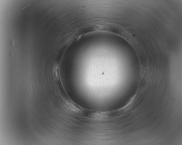 X0000069830094200605261852