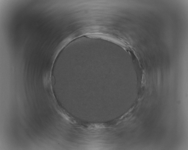 X0000069830099200605261851