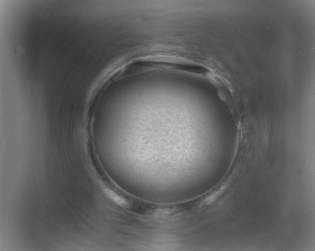 X0000069830101200605261851