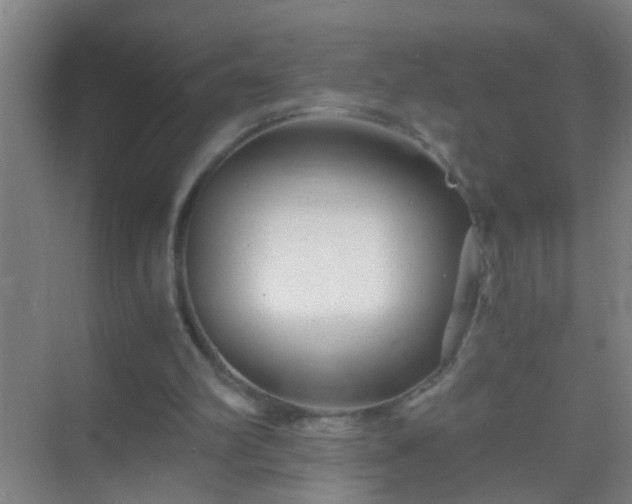 X0000069830102200605261851