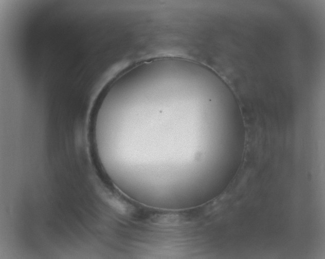 X0000069830104200605261851