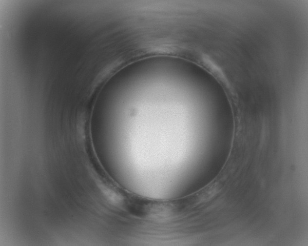 X0000069830106200605261851