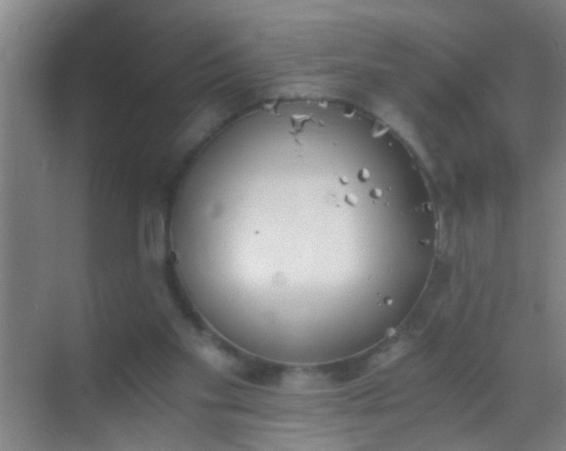 X0000069830109200605261851